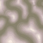 C2D C2D