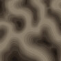 C2D C2D
