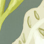 Flower Power | Fleur de lune | TP 305 02 Flower Power | Fleur de lune | TP 305 02