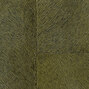 Indomptée | Appaloosa HPC | CV 113 15 Indomptée | Appaloosa HPC | CV 113 15