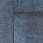 Indomptée | Appaloosa VP | 618 17 Indomptée | Appaloosa VP | 618 17