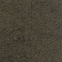 Natives | Movida HPC CV 101 26 Natives | Movida HPC CV 101 26