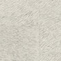 Natives | Movida HPC CV 101 28 Natives | Movida HPC CV 101 28