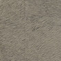 Natives | Movida HPC CV 101 40 Natives | Movida HPC CV 101 40