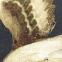 Soleil levant | Nouvelles orientales | TP 291 02 Soleil levant | Nouvelles orientales | TP 291 02