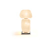 072 Wax, Stone, Light