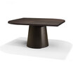 Alter Dining Table