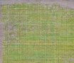 Bidjar | Grid Enjoy