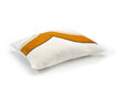 Bridge | CO 216 25 02