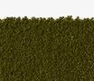 Dew - 0951
