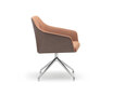 DS-279 Gusto