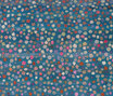 Gamba | Little Flowers