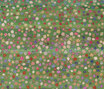 Gamba | Little Flowers
