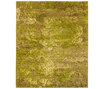 Jungle | Aerial Forest
