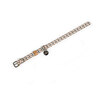Pet Collection | Collar