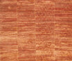 Precious Panel silver