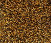 Sauvage 38098