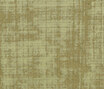 Venier - Oliva