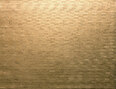 Papyrus - 48553