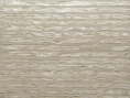 Raphia - 48561