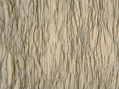 Beluga 885