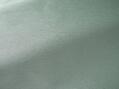 Anet