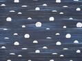 Belle lune