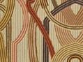 Camelus