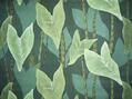 Monstera