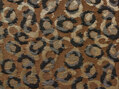 Samburu 883