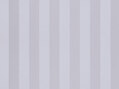 Solice Stripe 543