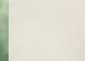 Roller blinds 1270