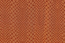 Amazone 2 Maze - 23584