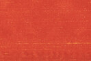 Jamila II - 14500233