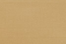Ablion - 14177713