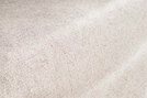 Benu Raw 807 - 2858807
