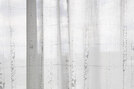 Birches - 0011
