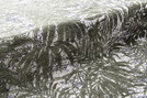 Palmera 814 - 14638814