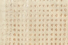 SCARLET Rug