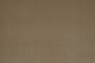 VIP 137 - 14470137