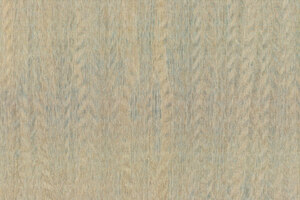 Amazone 2 Fierce - 23501