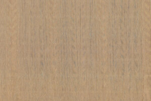 Amazone 2 Fierce - 23503