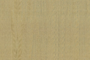 Amazone 2 Fierce - 23506