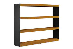Carson Bookcase
