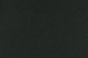Palatine | LB 710 85