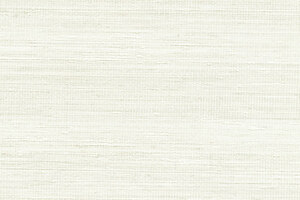 Panama | Musa VP 710 02