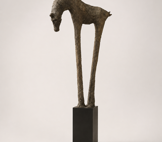 Groot paard
