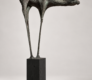 Hartstochtelijk (Paard)