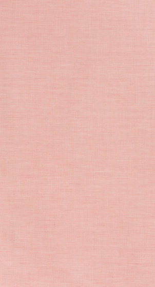 Accent - 0020