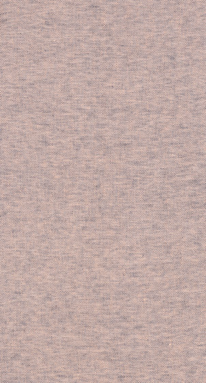 Voice - 0015